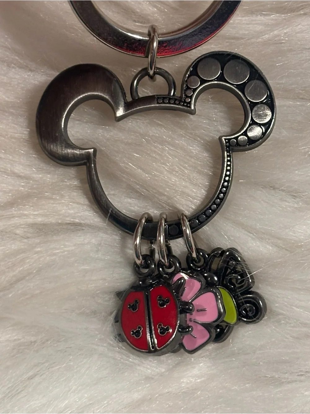 Disney Key Chain Ring - Flower And Garden Festival - Icons